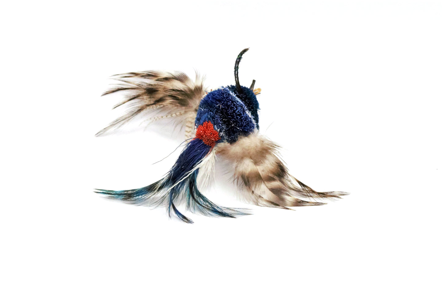 Blue Striped Flyer Bird