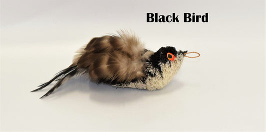 Big Birds 2 Pack Color Black