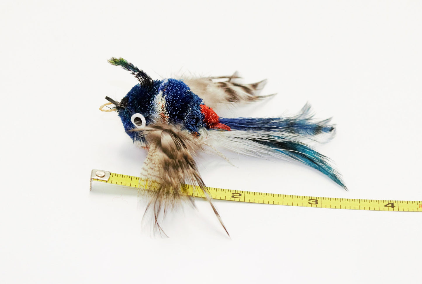 Blue Striped Flyer Bird