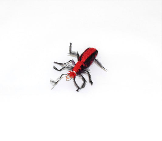 Colored Beetle  - 4 pack