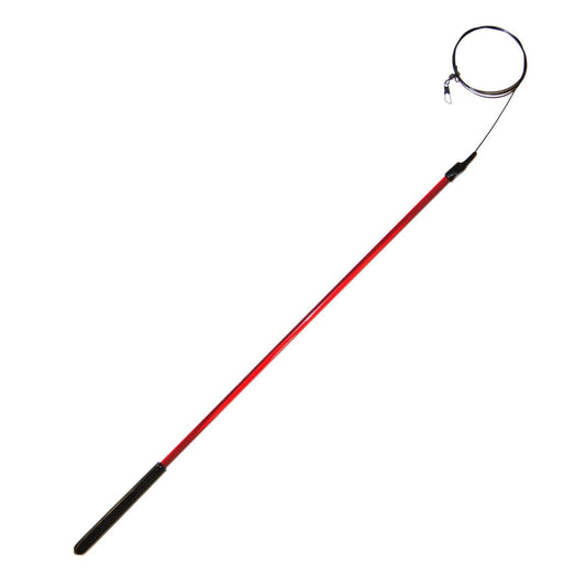 Litterboy 18" Catcher Wand