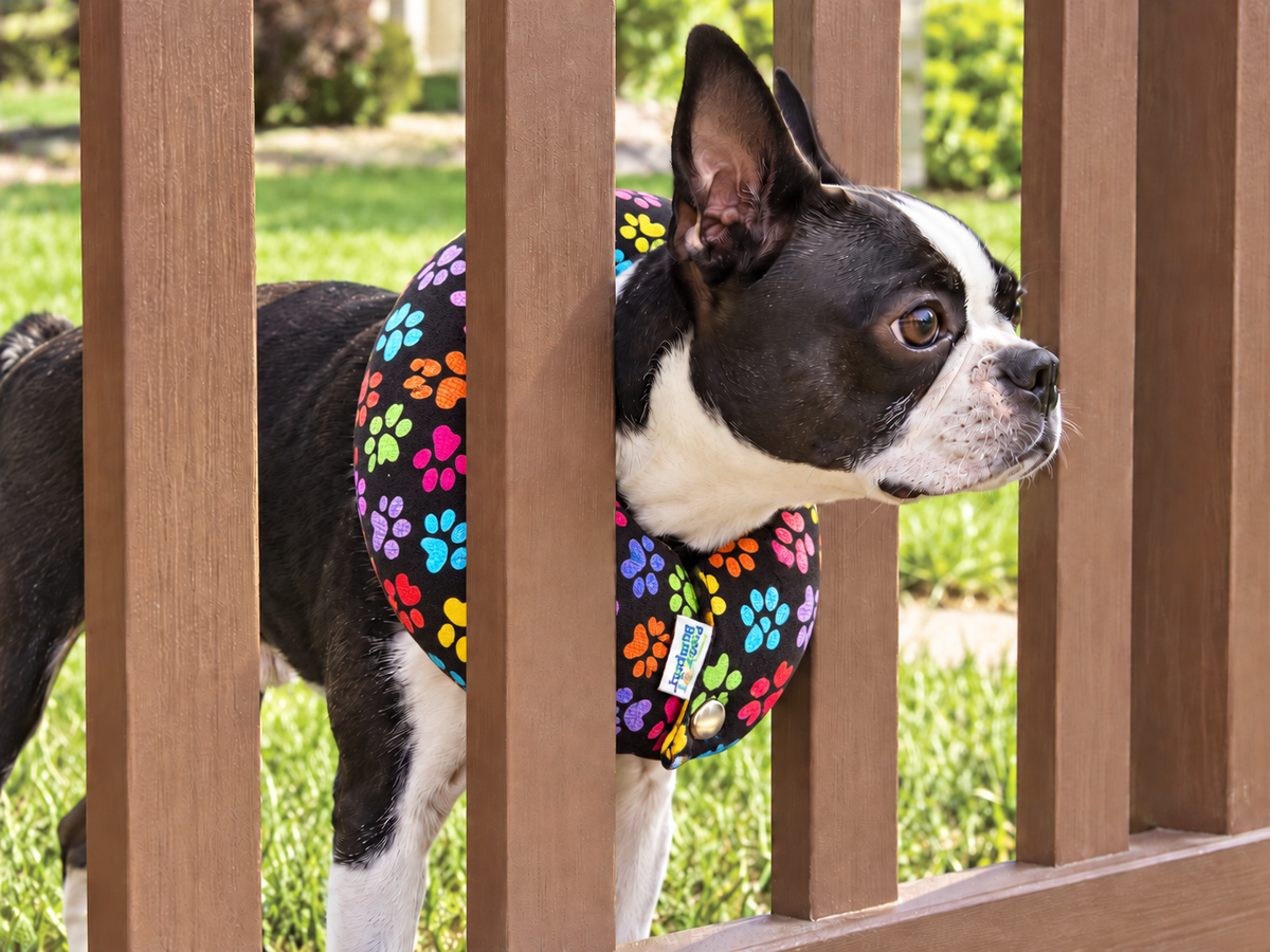Puppy Bumpers®
