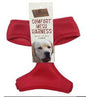 Comfort Mesh Harness for Dogs