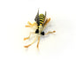 Grasshopper 3pk or 8pk - Cat Toy