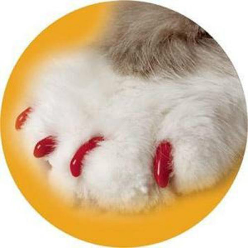 Soft Claws Nail Caps for Cats