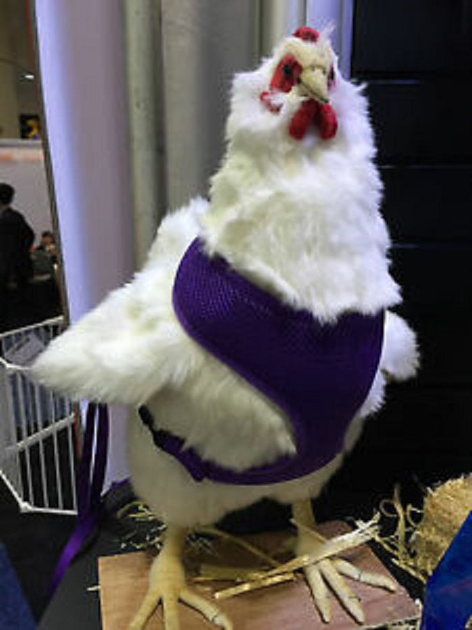 Chicken Harness - Rooster Size