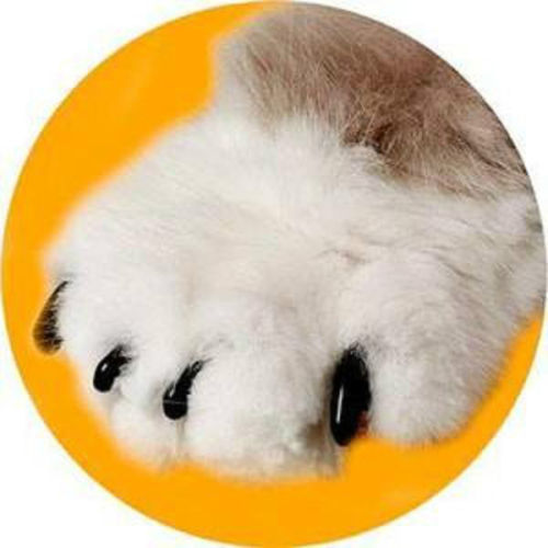 Soft Claws Nail Caps for Cats