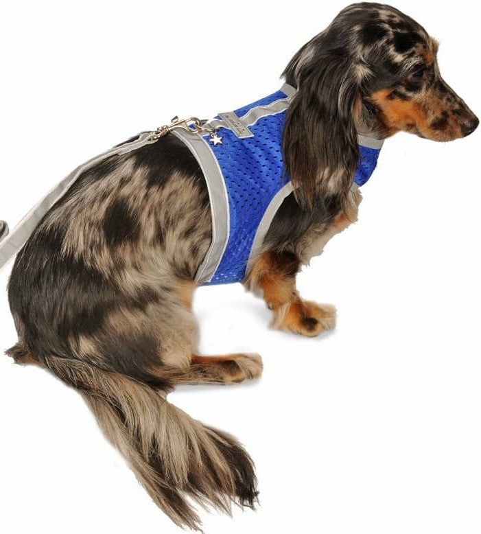 My Canine Kids Athletic Mesh T3 Size Blue