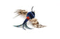 Blue Striped Flyer Bird