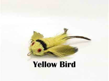 Birds - You choose the option