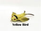 Birds - You choose the option