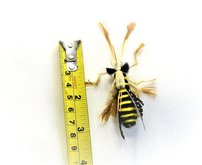Grasshopper 3pk or 8pk - Cat Toy