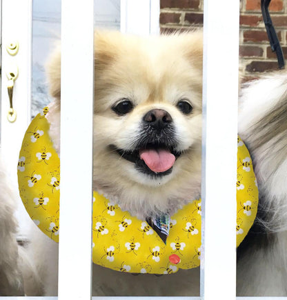 Honey Bee Puppy Bumper®