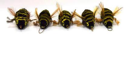 Wasp