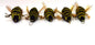 Wasp