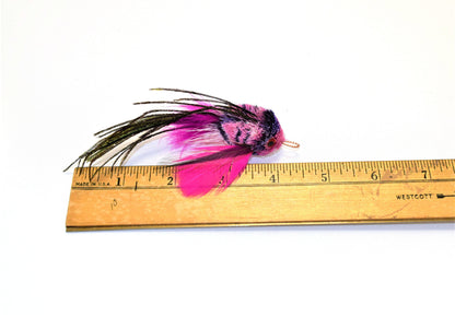 Pink Flying Fish