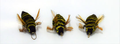 Wasp