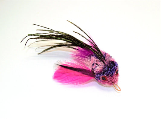 Pink Flying Fish