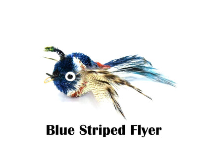 Blue Striped Flyer Bird