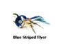 Blue Striped Flyer Bird