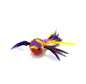 Bird  Purple Thriller