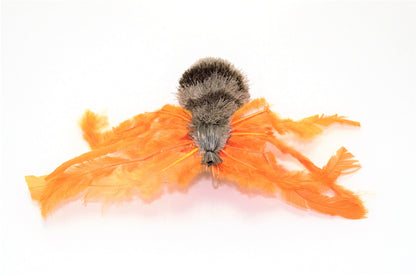Aracno Spider