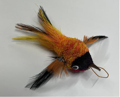 Bird Orange Flyer