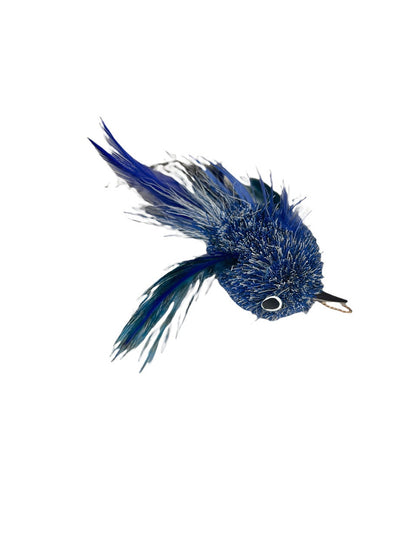 Belted KingFisher