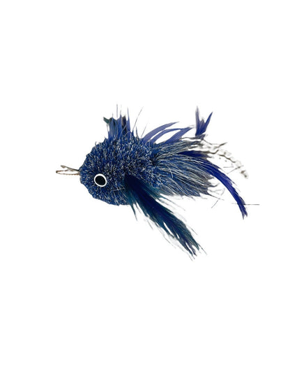 Belted KingFisher