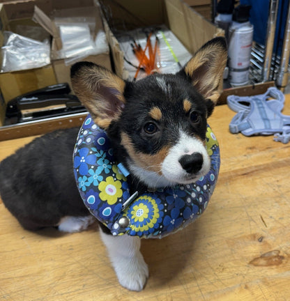Rainy Day - Blue Flowers - Water Resistant - Puppy Bumper®